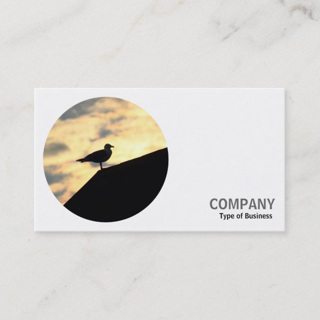 Round Photo - Gull on a Roof Business Card (Front)