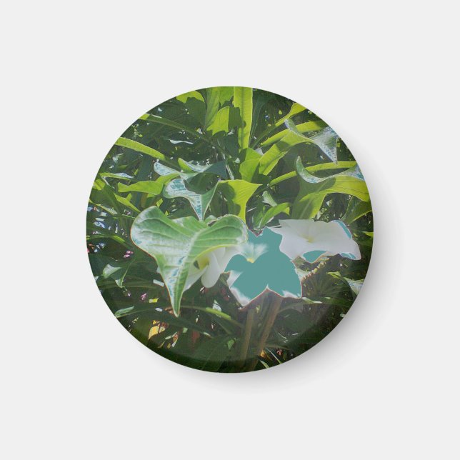 Round photo maget magnet (Front)