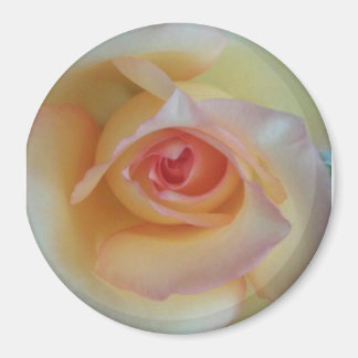 round photo magnet