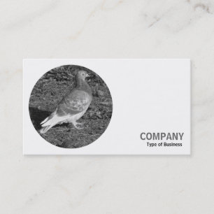 Round Photo - Red Pigeon B&W Business Card