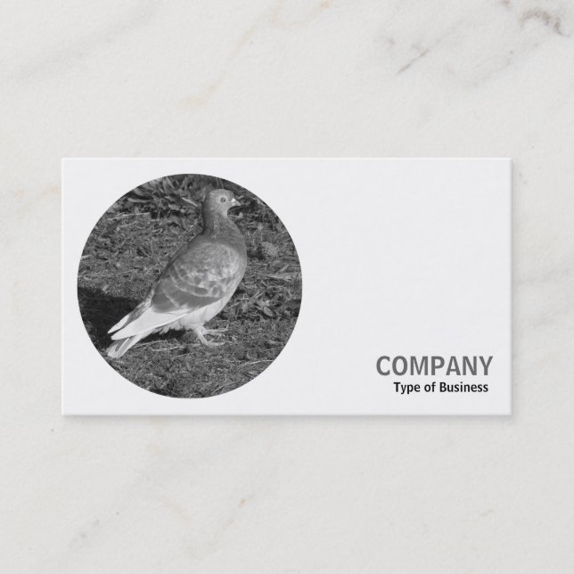 Round Photo - Red Pigeon B&W Business Card (Front)