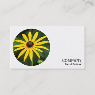 Round Photo - Rudbeckia hirta Business Card