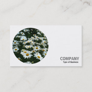 Round Photo - Shasta Daisies Business Card