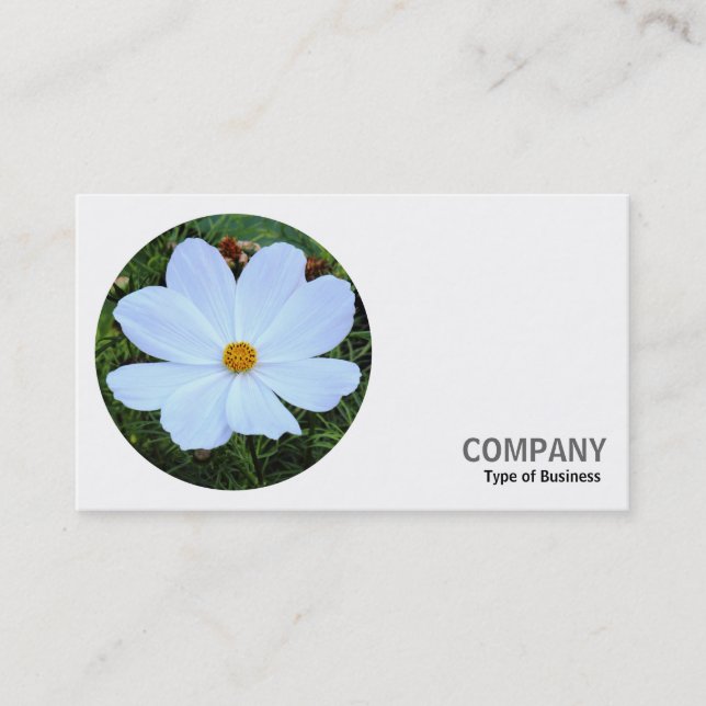 Round Photo - White Cosmos Business Card (Front)