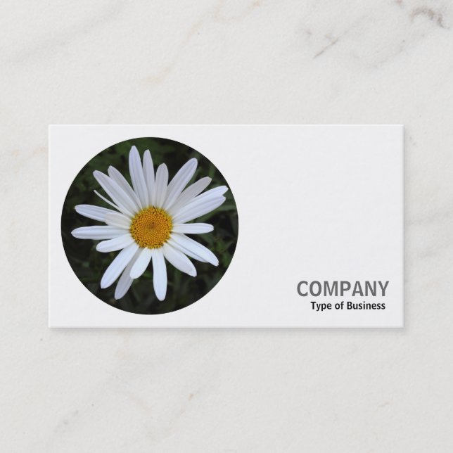Round Photo - White Daisy 03 Business Card (Front)