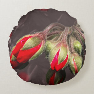 Round Pillow Bloom Red And Dark