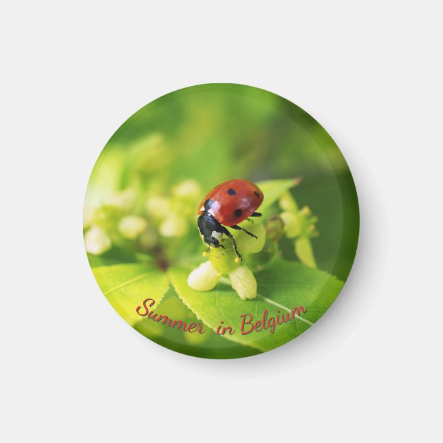 Round Pillow Magnet (Front)