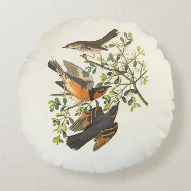 Round pillows (Front)