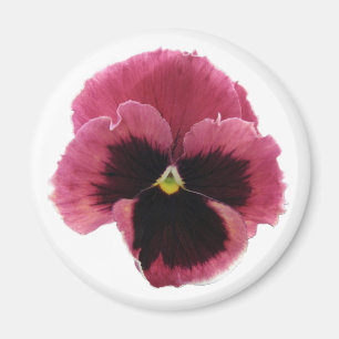 Round Red Pansy Magnet