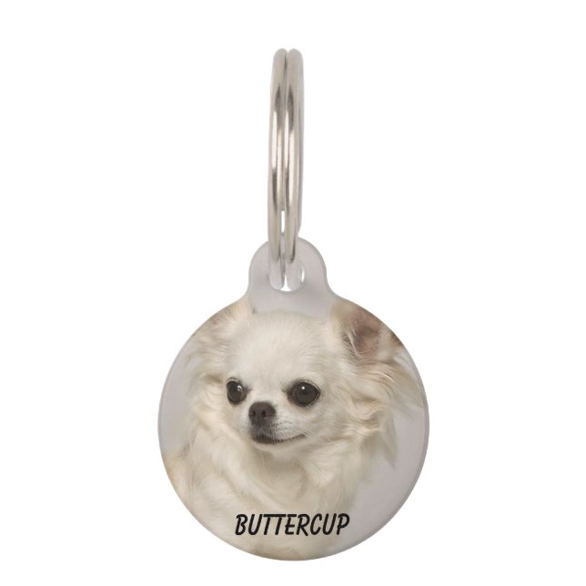 Round Small Pet Tag Chihuahua With Photo (Front)