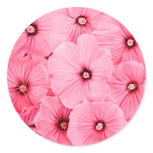 Round Sticker, Glossy, Large, HAPPY SEED WRAPPING