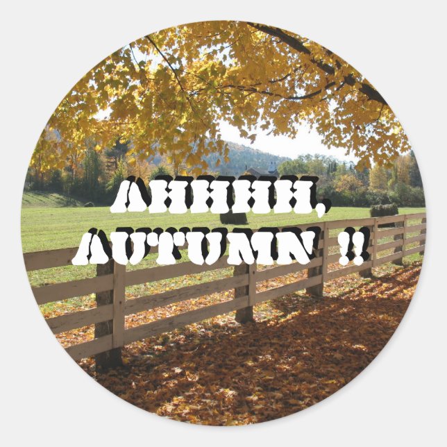 Round Stickers (Front)