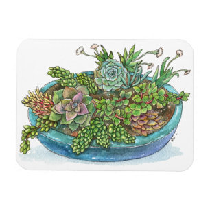 Round Succulent Garden Magnet