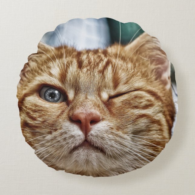 Round Throw Pillow (16") (Front)