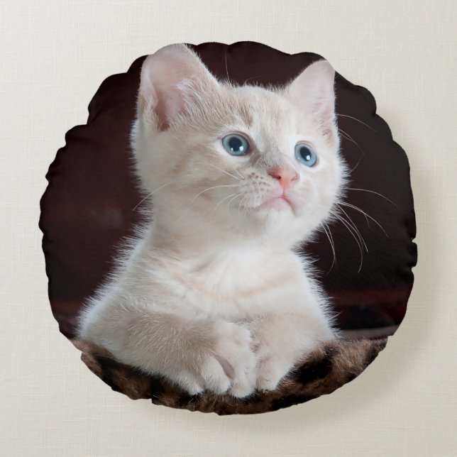 Round Throw Pillow (16") (Front)