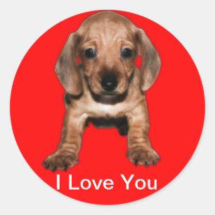 Round transfer teckel classic round sticker