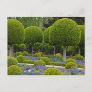 Round Trees Postcard