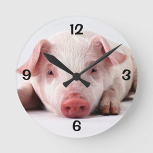 Round Wall Clock/Pig Clock