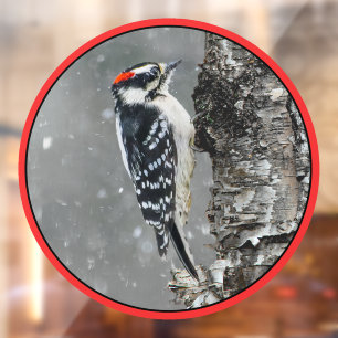 round window cling