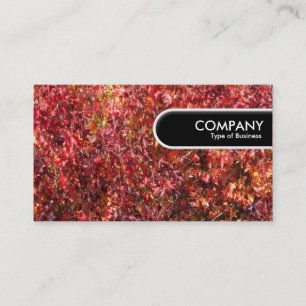 Rounded Edge Tag - Autumn Leaves