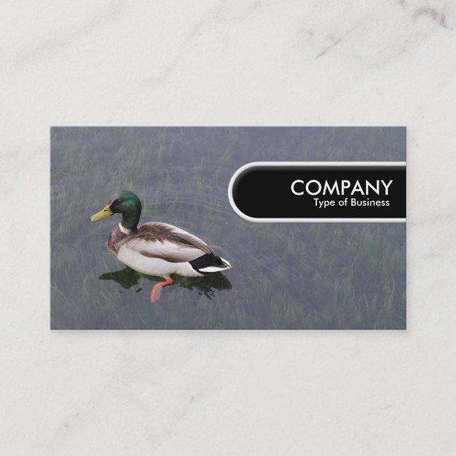 Rounded Edge Tag - Mallard Duck (Front)