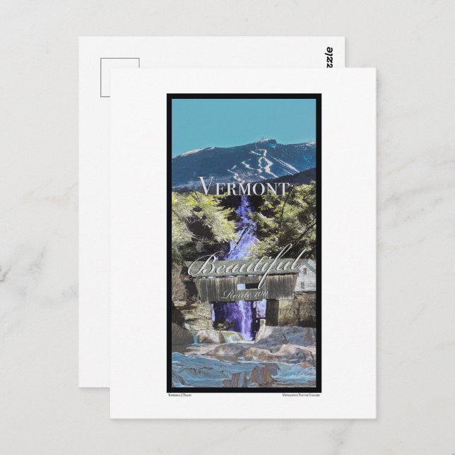 Route 100, Vermont Postcard (Front/Back)