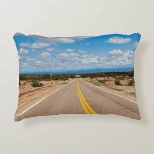 Route 40 Argentina Decorative Pillow
