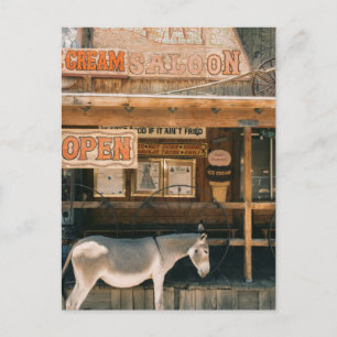 Route 66 Burros Postcard