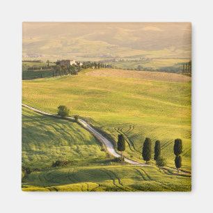Route blanche dans aimant paysage toscan