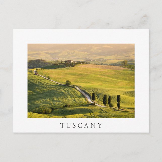 Route blanche dans le paysage toscan carte postale (Devant)