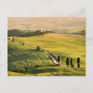 Route blanche en Toscane carte postale