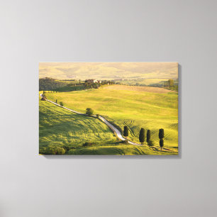 Route blanche en Toscane dessin de toile de paysag