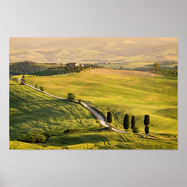 Route blanche en Toscane poster paysage (Devant)