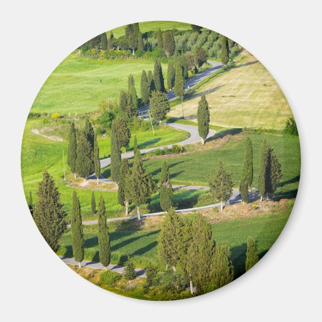 Route bordée de Cypress en Toscane aimant rond (Devant)
