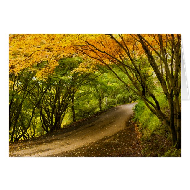 Route de la campagne à l'automne (Devant horizontal)