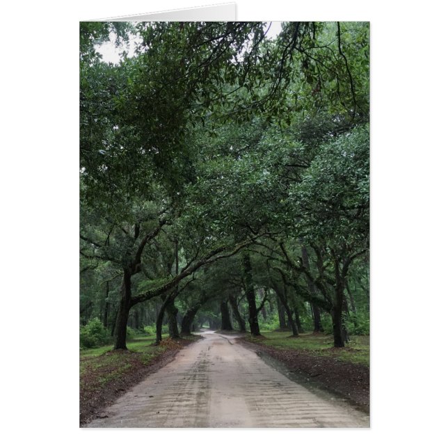 route de santee (Devant)