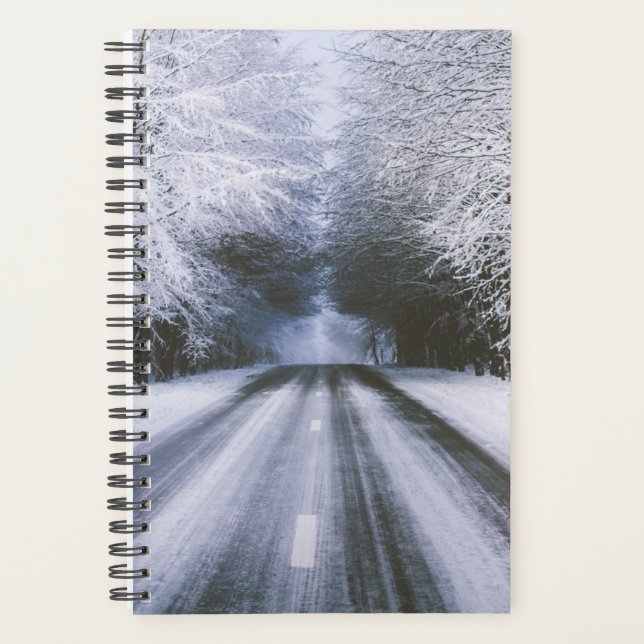 route d'hiver (Devant)