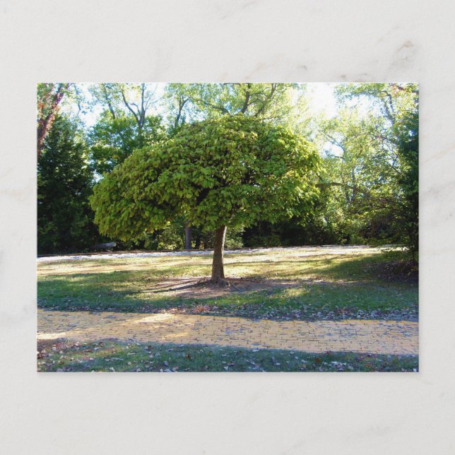 route en brique jaune 2 Carte postale (Devant)