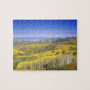 Routt National Forest in Autumn colour, near Jigsaw Puzzle