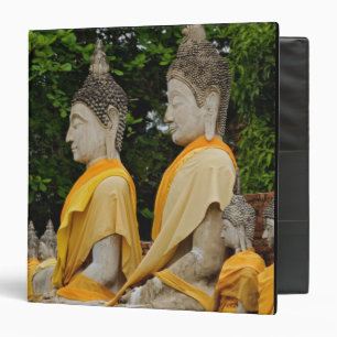 Row of Buddha statues, Wat Yai Chaya Mongkol Binder