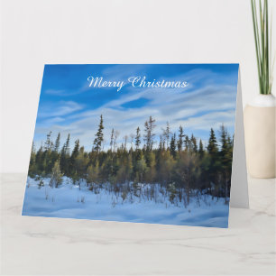 Row of Evergreens - Blank Card