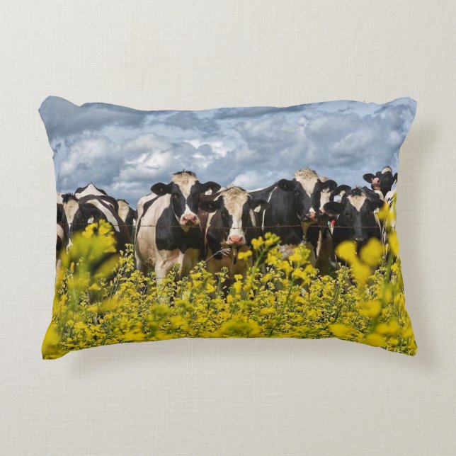 Row of Holstein Cows Accent Pillow (Front)