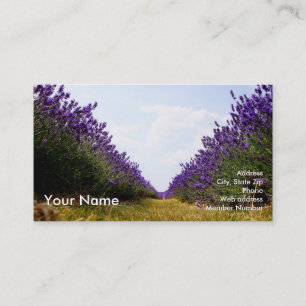 Row of Lavender Business Card