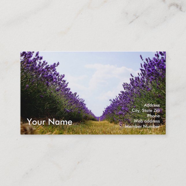 Row of Lavender Business Card (Front)