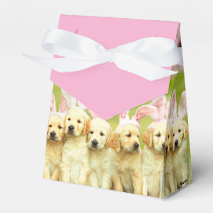 Row of Puppy Bunnies Favor Box