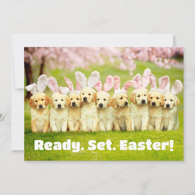 Row of Puppy Bunnies Invitation (Front)
