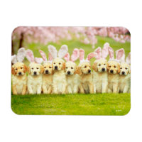 Row of Puppy Bunnies