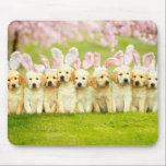 Row of Puppy Bunnies Mouse Pad<br><div class="desc">Ready. Set. Easter! | Avanti,  the Global Humour Brand™ has been entertaining the world with its Feel Good Funny greeting cards for over 40 years. Our characters live life to the fullest and celebrate the humour in everyday life.</div>