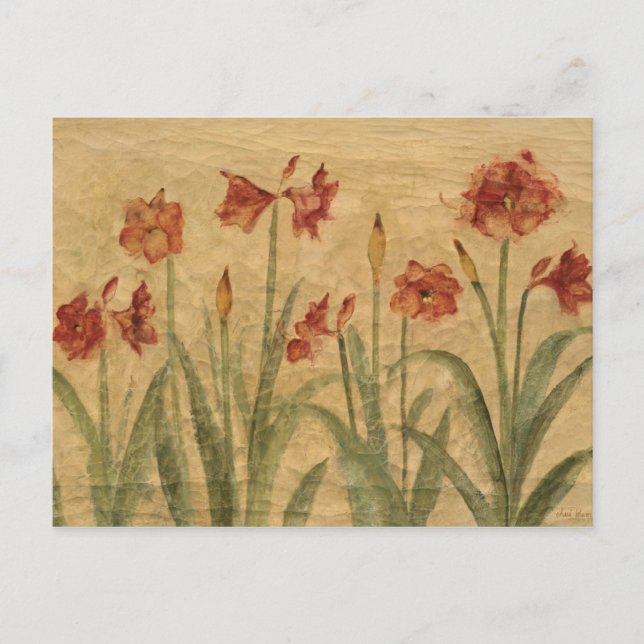 Row of Red Amaryllis Postcard (Front)