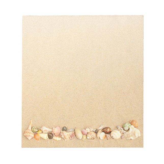 Row of Seashells on Beach Sand Notepad (Front)
